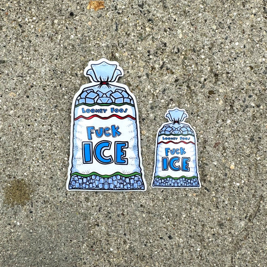 FUCK I.C.E BAG